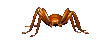 pavouk7.gif